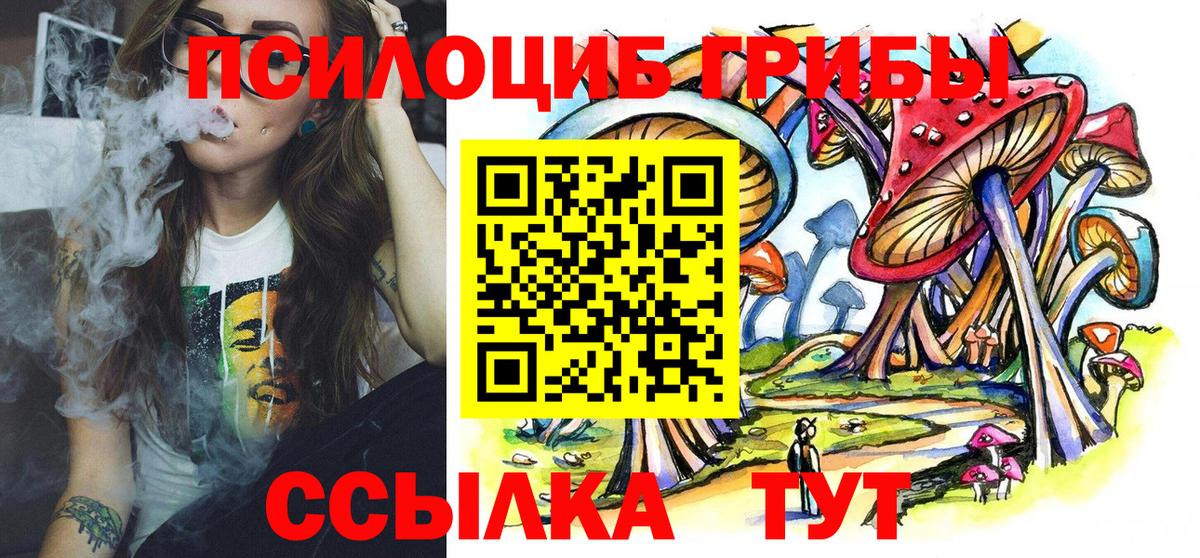 Рославль  Псилоцибиновые грибы Cubensis  Вход с VPN 